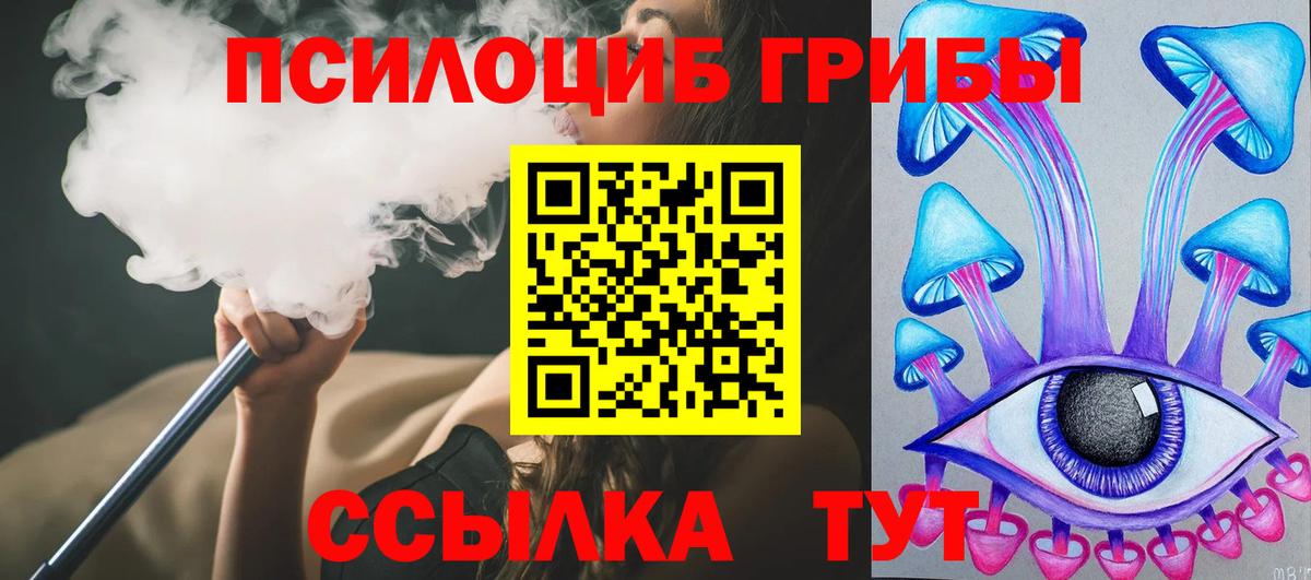 Элиста  Псилоцибиновые грибы Magic Shrooms  Псилоцибиновые грибы Psilocybine cubensis  Вход с VPN 